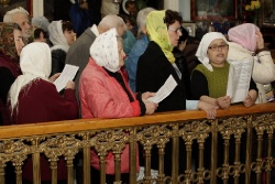 _MG_5059 - �����